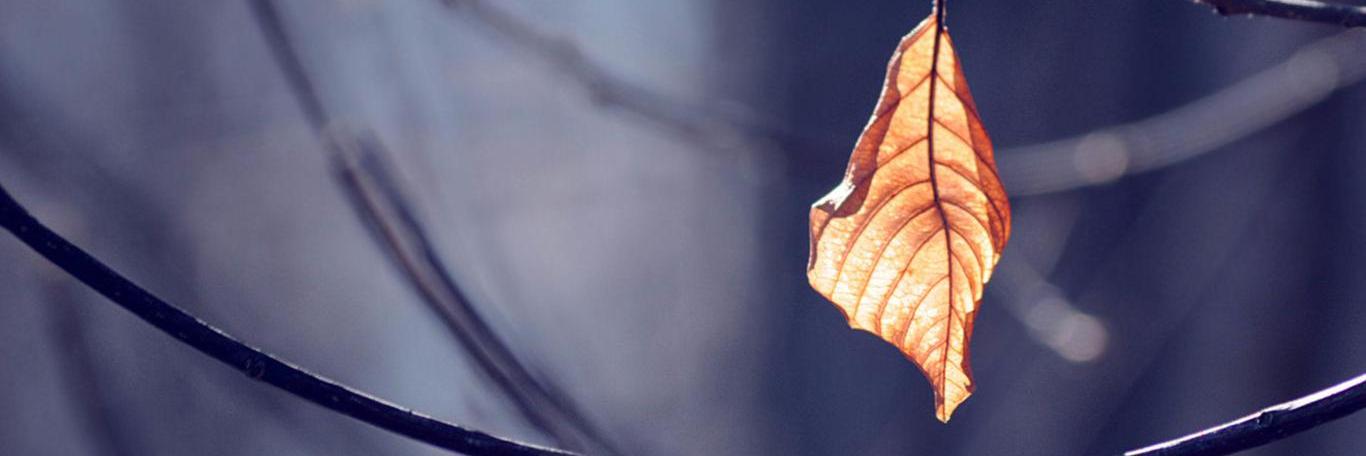 MustafaMagdy111's profile banner image