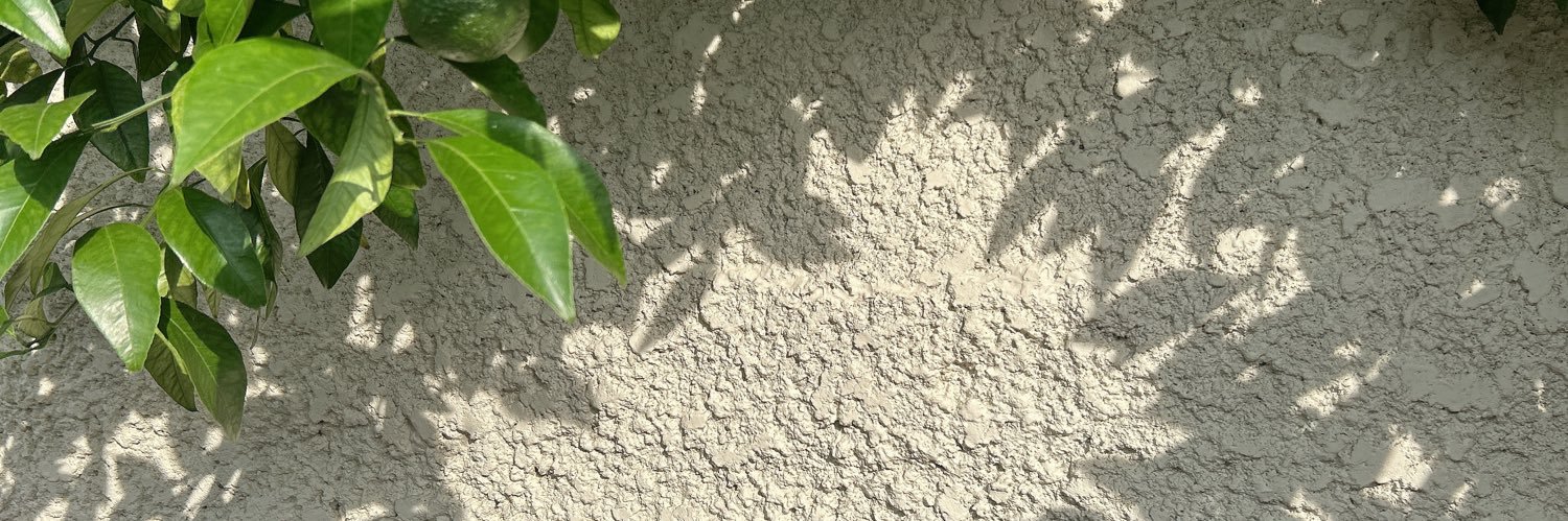 mito_camera's profile banner image