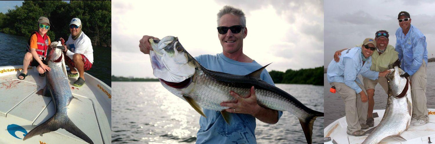 MagicTarpon's profile banner image