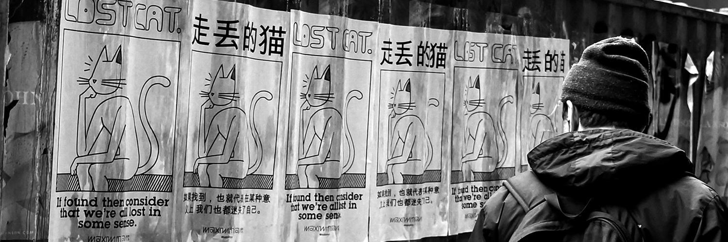 LostCatCo's profile banner image