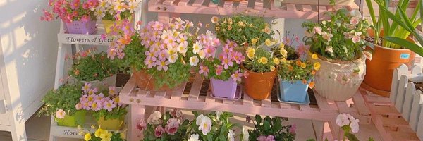 purposelessrosa Profile Banner