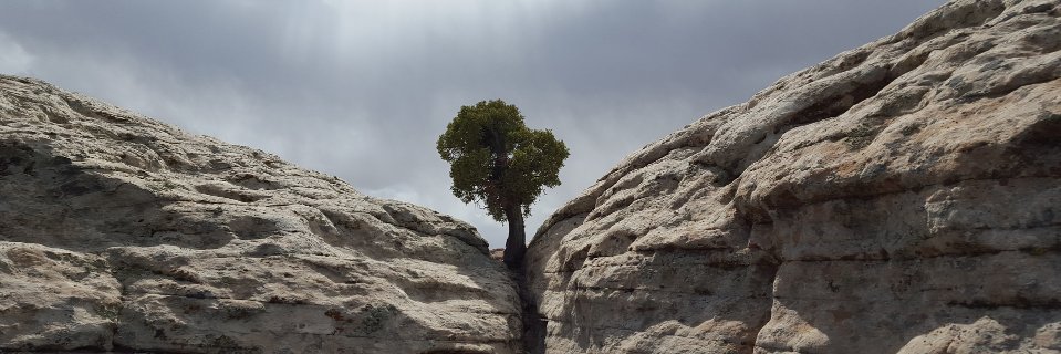 EnTranceHypno's profile banner image