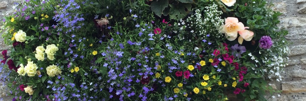 BryonyStrachan's profile banner image