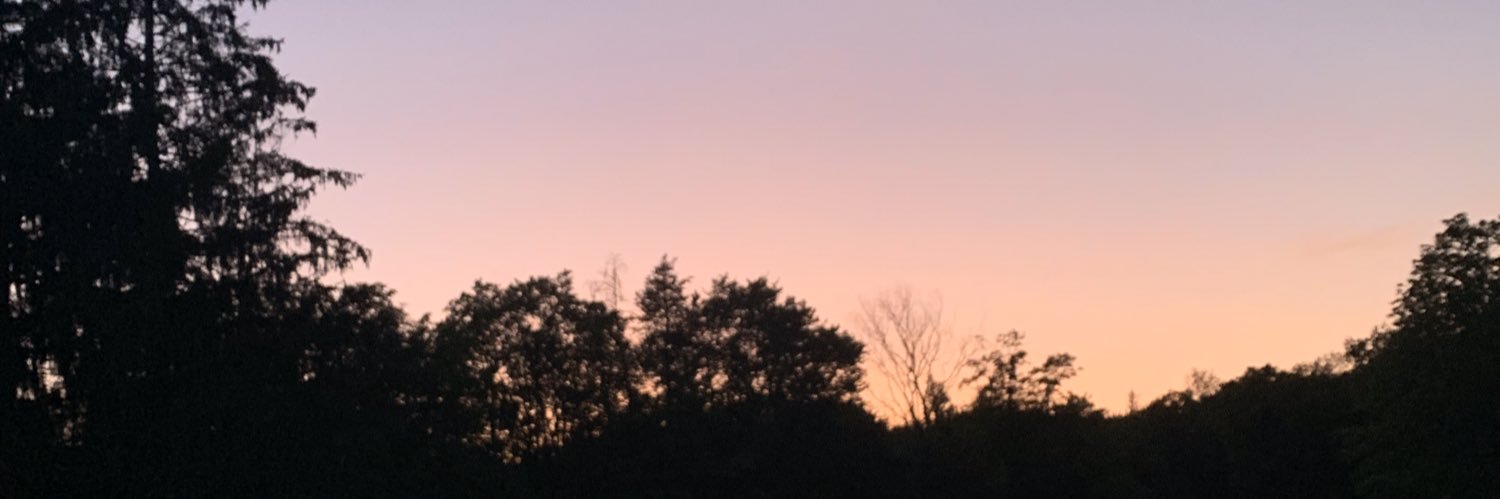 Danni_douglas3's profile banner image