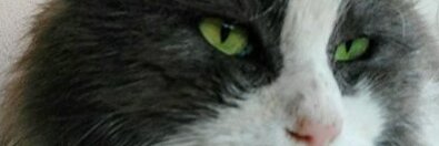 BInsacco's profile banner image