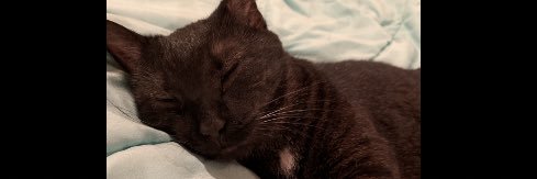 Baileyholmes111's profile banner image