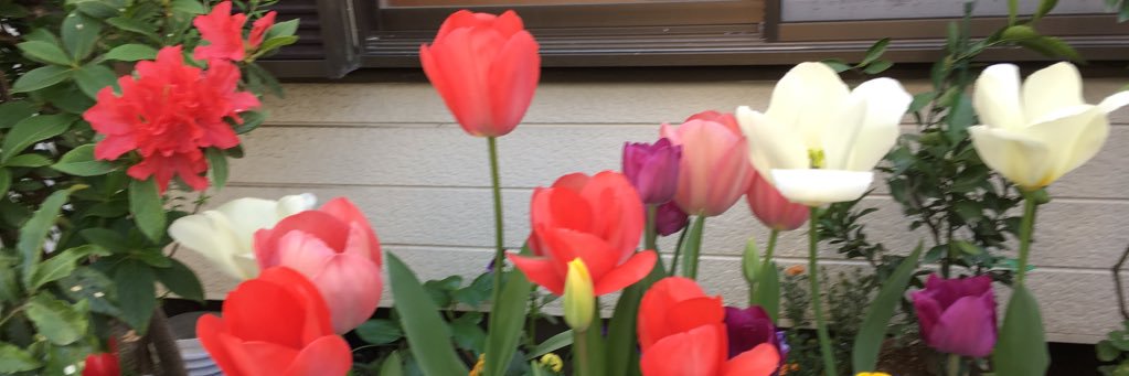 kyoo3939's profile banner image