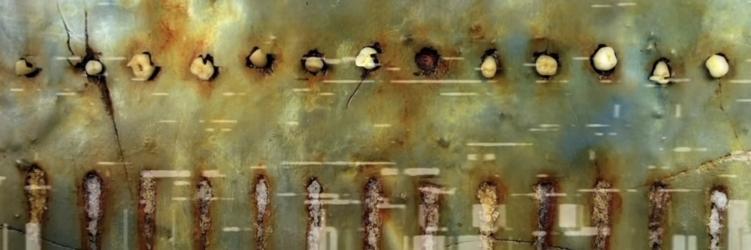 kms512's profile banner image