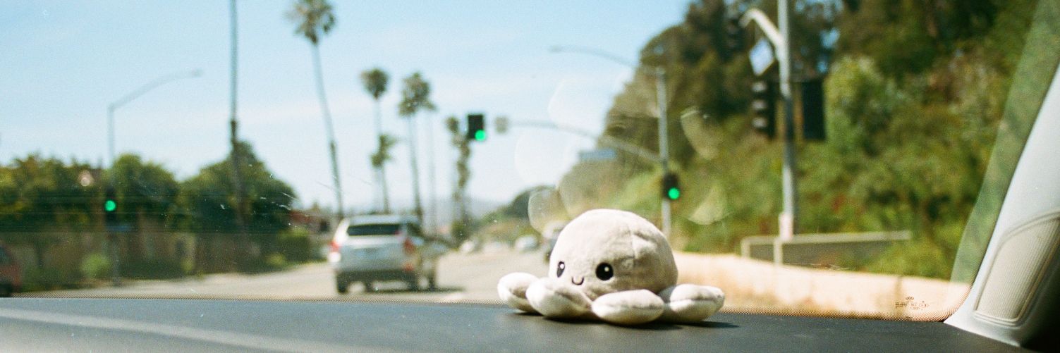 Bean_sent's profile banner image