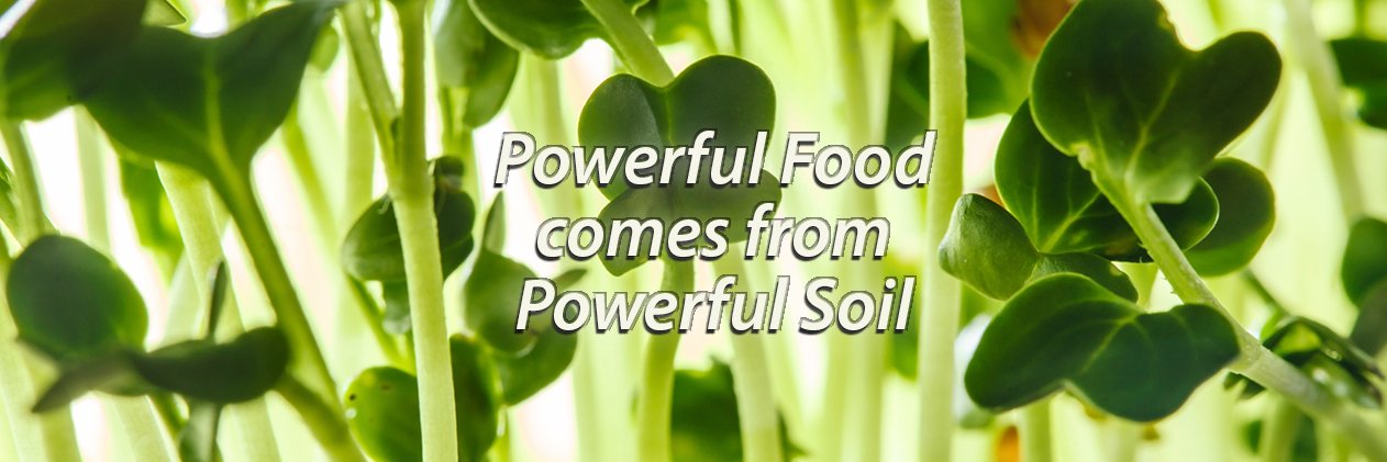 vibrantsoils's profile banner image