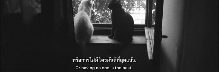 佩 banner