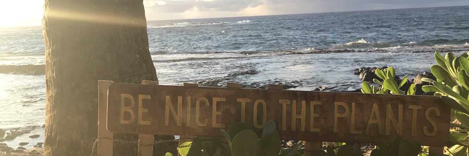 lilliablasius's profile banner image