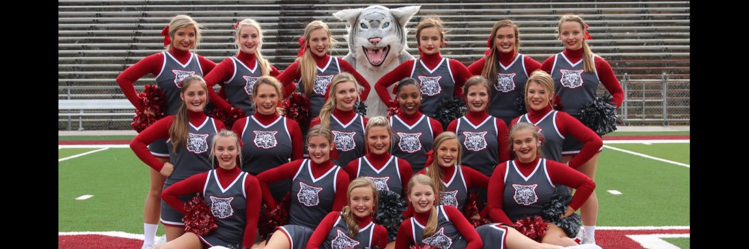 orhs_cheer's profile banner image
