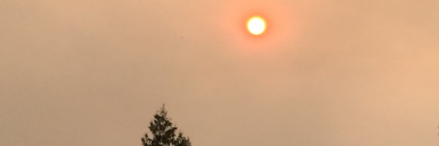 美国土包子 (Yankee Bumpkin) banner