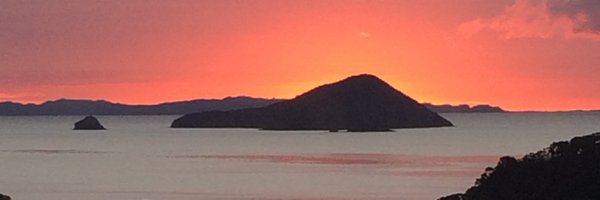 Morgandonocoro Profile Banner