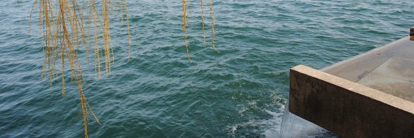 KejoBuchanan Profile Banner