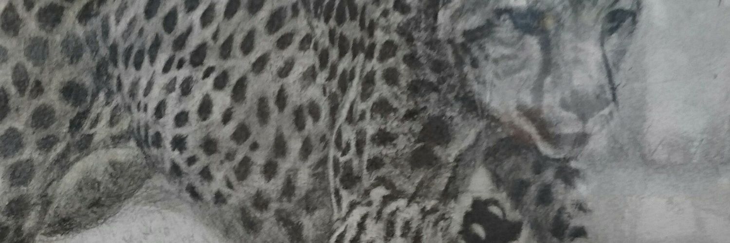 PsyTrns's profile banner image