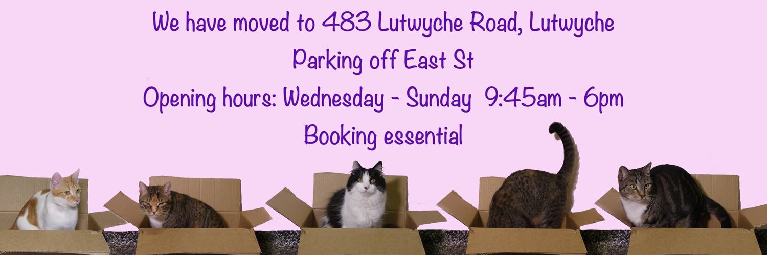 CatCuddleCafe's profile banner image