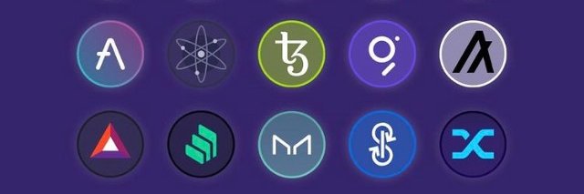 Seerz banner