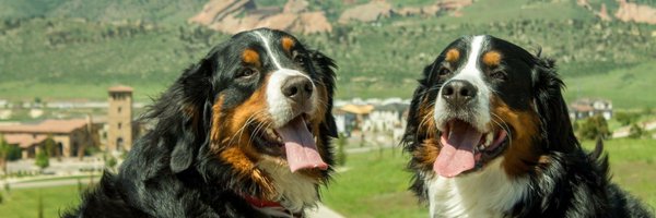 eheppner19 Profile Banner