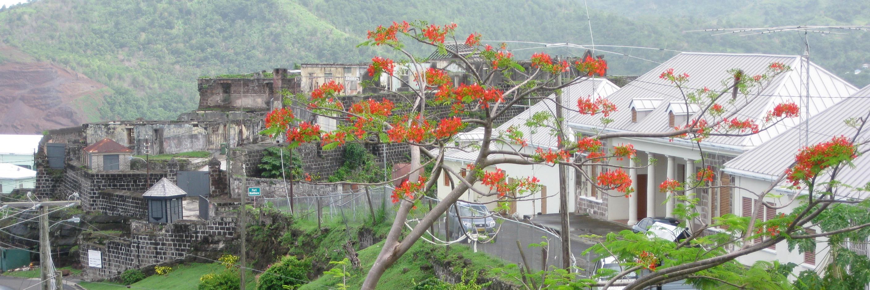 Dr. Akilah Carter-Francique banner