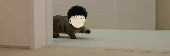 _xteru's profile banner image