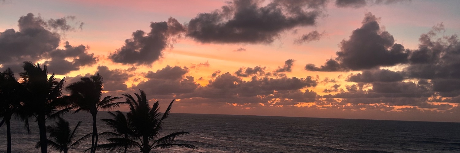 aivvry's profile banner image