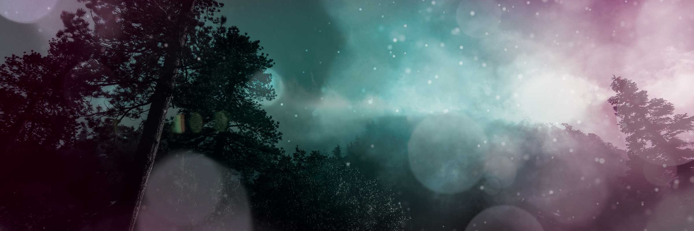 kenley_davidson's profile banner image
