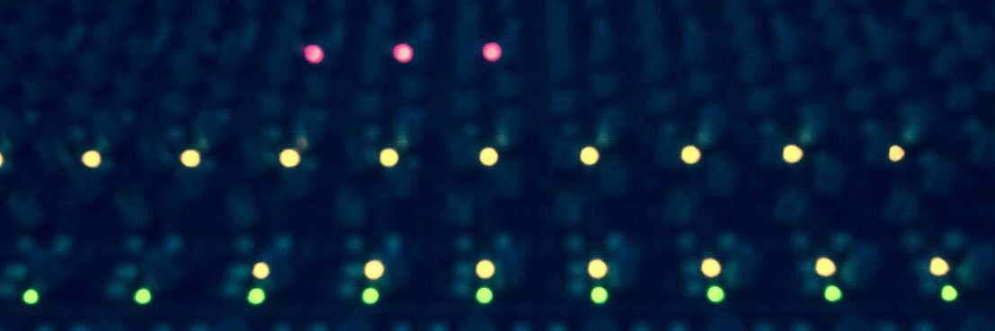 Zach Morrison banner