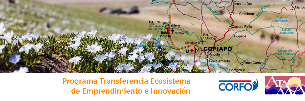 Atacama_Florece's profile banner image