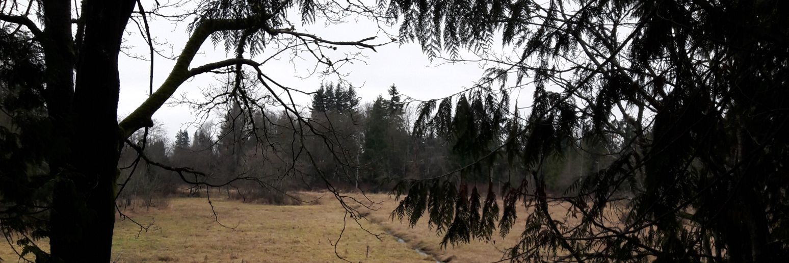 BekDean90's profile banner image