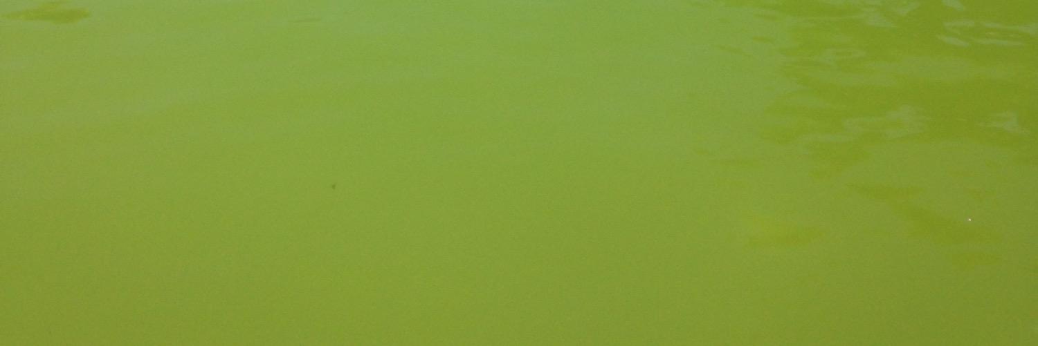 ftopdemirr's profile banner image