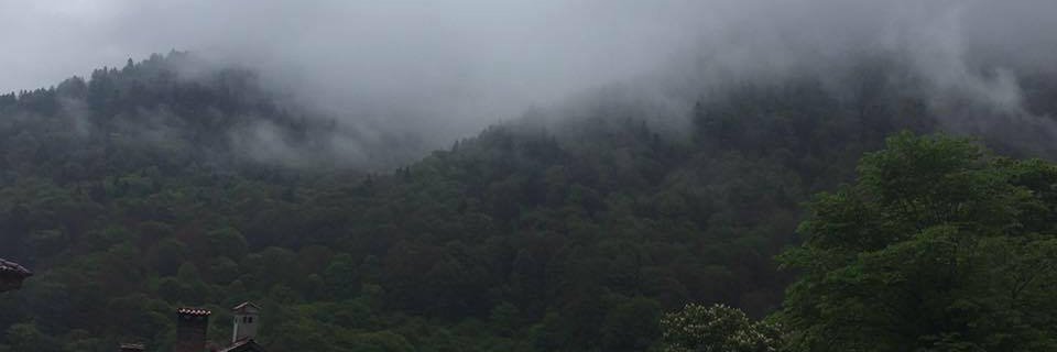 Stephanie Manova banner