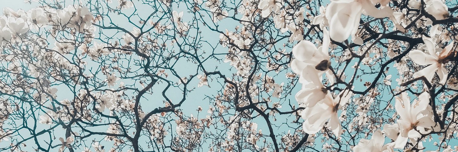 KarimdvG's profile banner image
