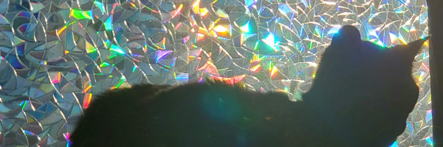 QuoiGender's profile banner image