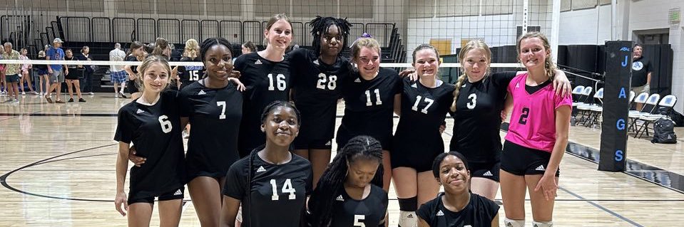 VballPPMS's profile banner image