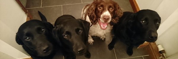 Aviation_Stu Profile Banner