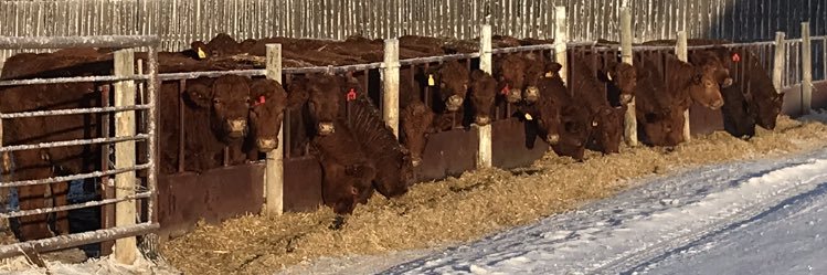 Jordan Mackay banner