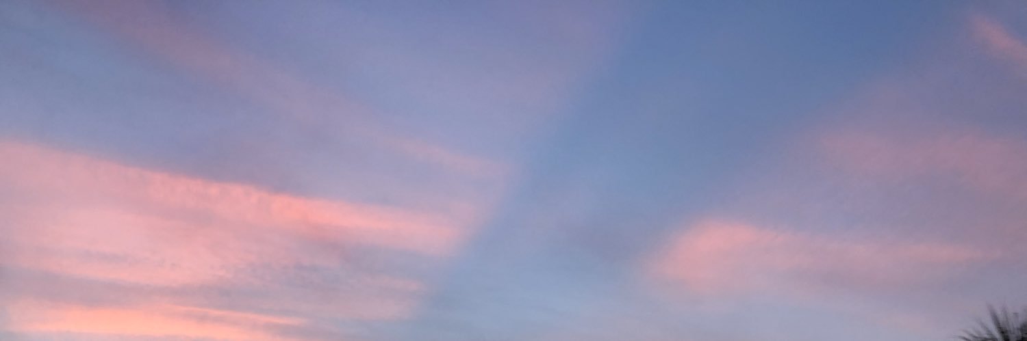 Noell! banner