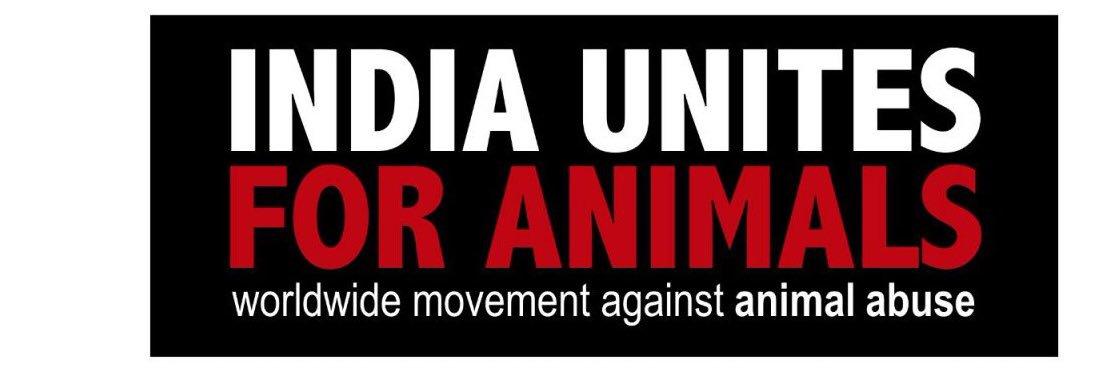 SaveKeralaDogs's profile banner image