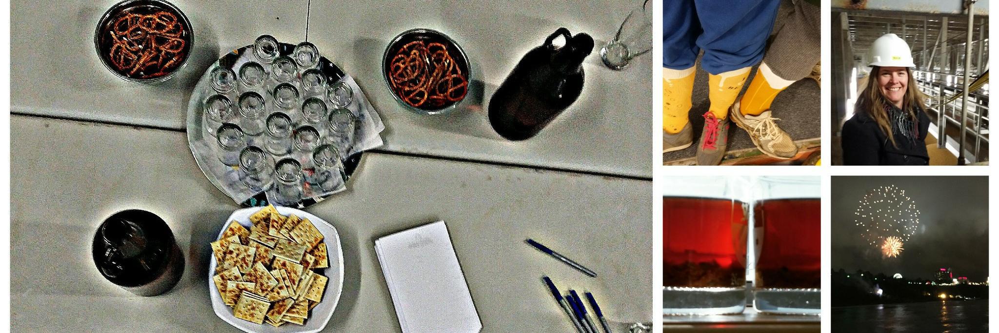 Shelley Beirnes banner