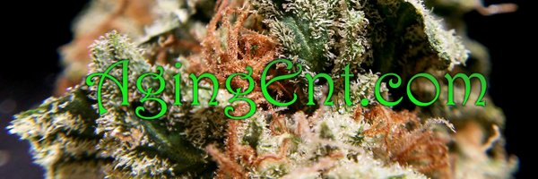 theAgingEnt Profile Banner