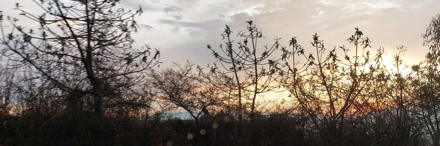 NathyCorella's profile banner image