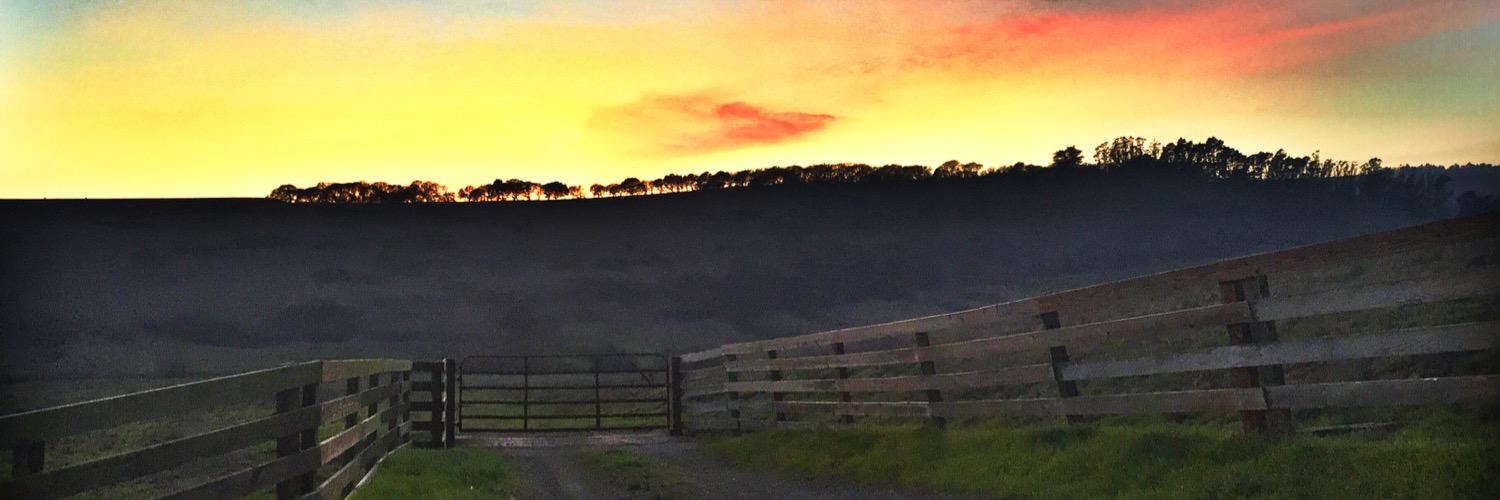 AddieKB's profile banner image