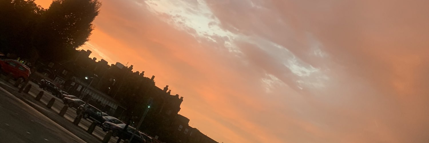 dinosockss's profile banner image