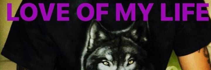 Ziams_Wolves's profile banner image