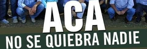 aleacuna1962's profile banner image