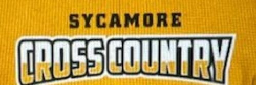 Sycamore Aviators Cross Country banner