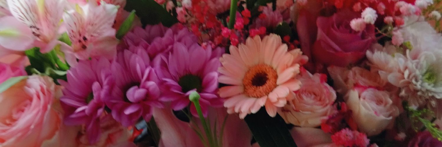 msmsms66m's profile banner image
