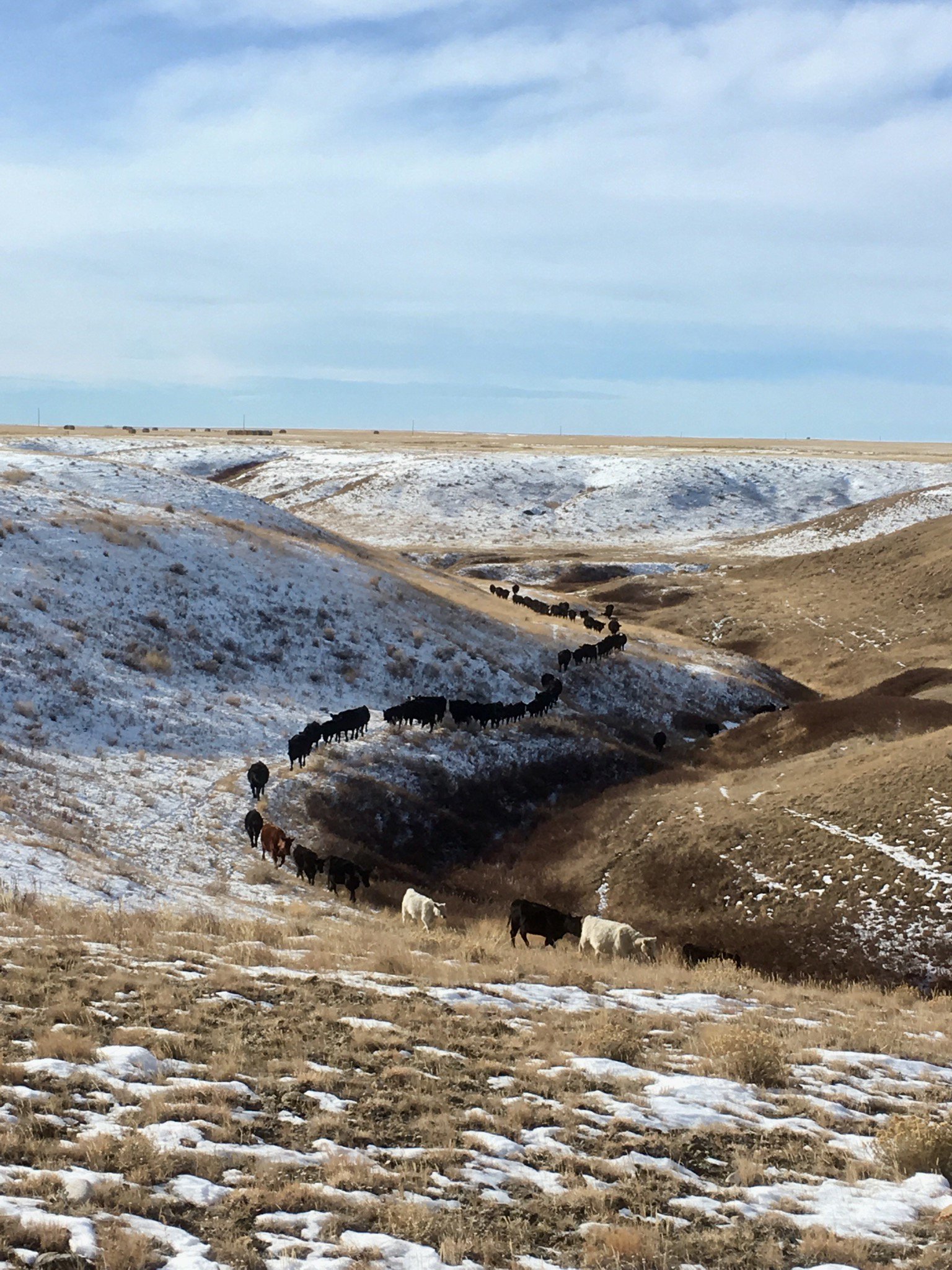 Craig Dumontel banner